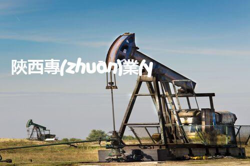 陜西專(zhuān)業(yè)房屋拆除，安全高效服務(wù)保障！
